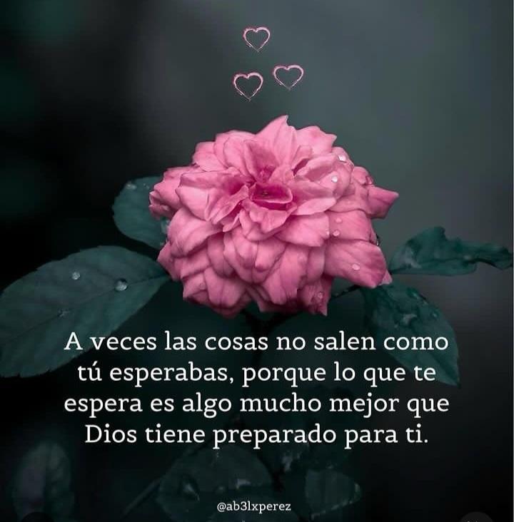 clorybaigo's tweet photo. 🙏🙌 https://t.co/9a4dqgG15q
