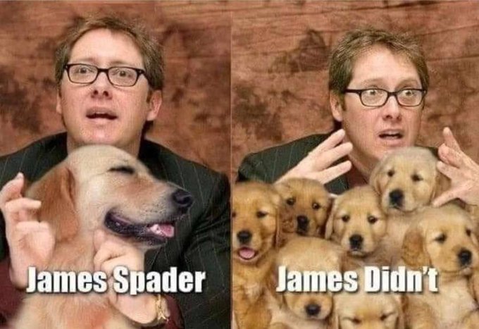 Took me a minute!   Please spay/neuter your pets! https://t.co/J7ucoXIOPt