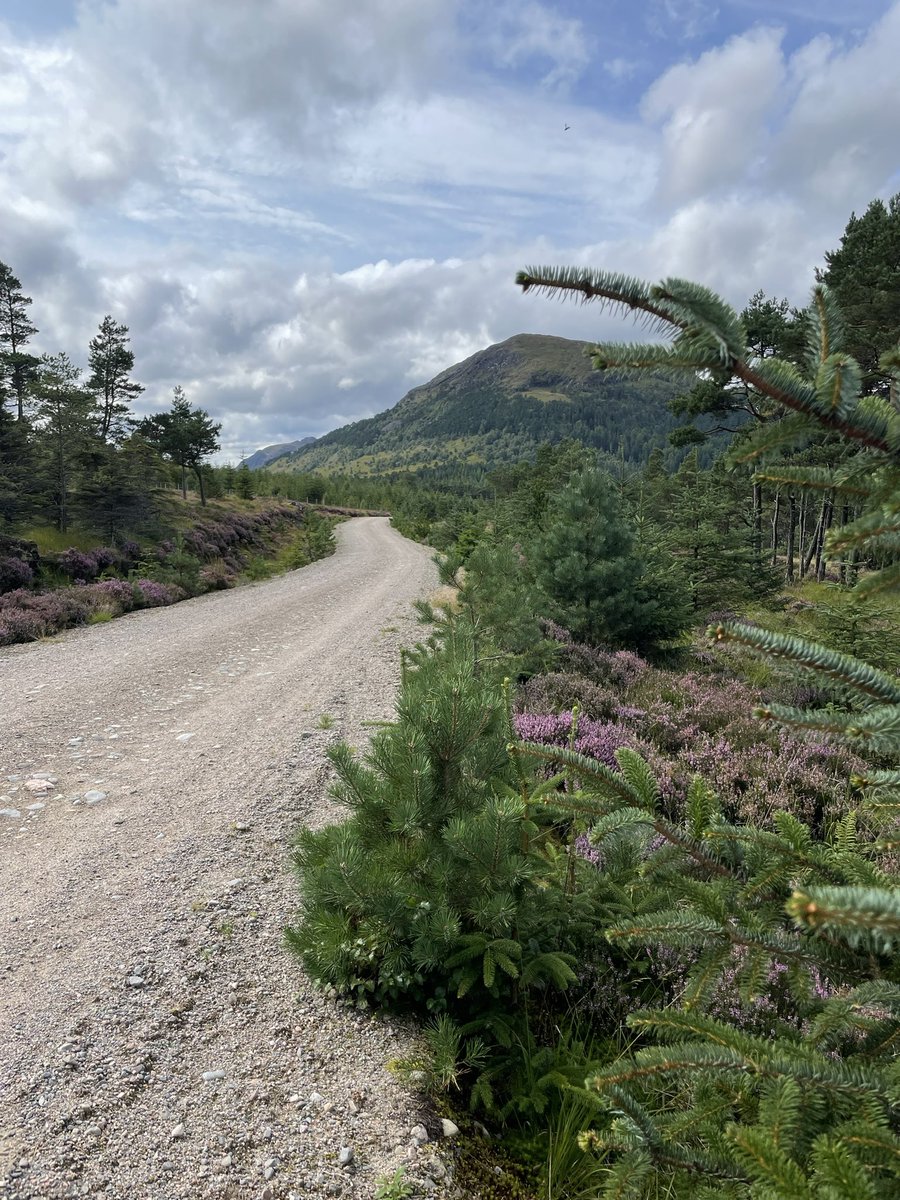 BishyDofE's tweet photo. 🌟 A small selection of photos from our Bronze and Silver Duke of Edinburgh expeditions over the past months. ⛺️ 🥾 
The start of many more to come! 
@BishopbriggsAC @DofE @DofEScotland https://t.co/rzJ3ASZe88