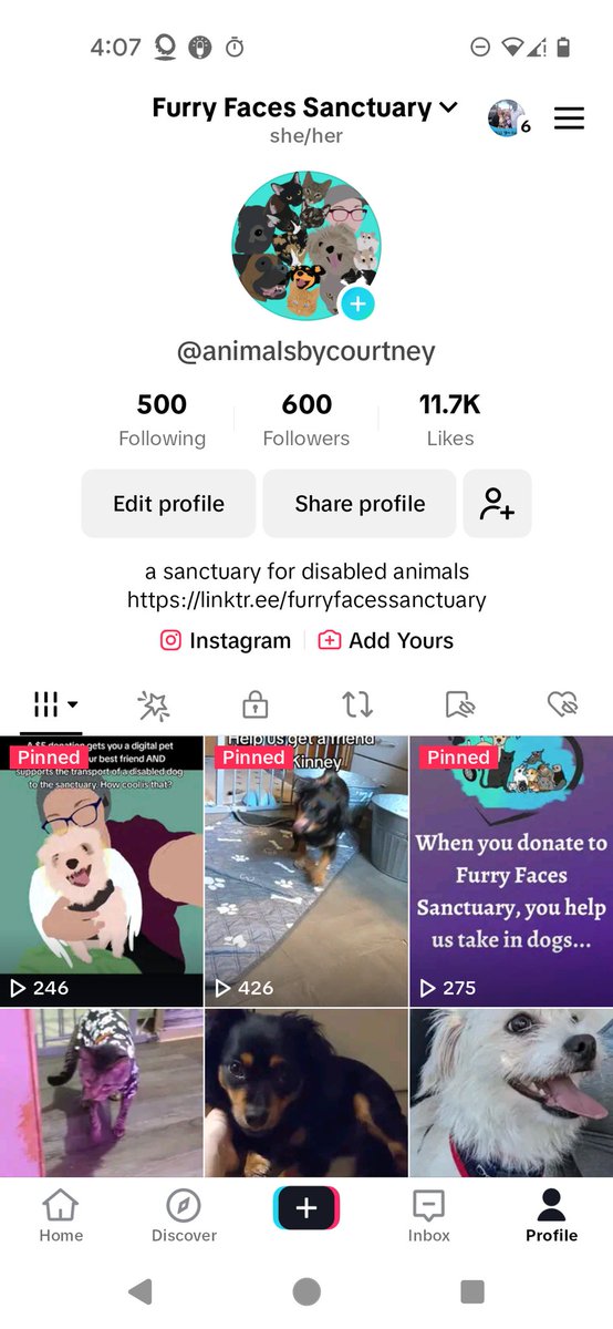 Furry Faces Sanctuary tweet media