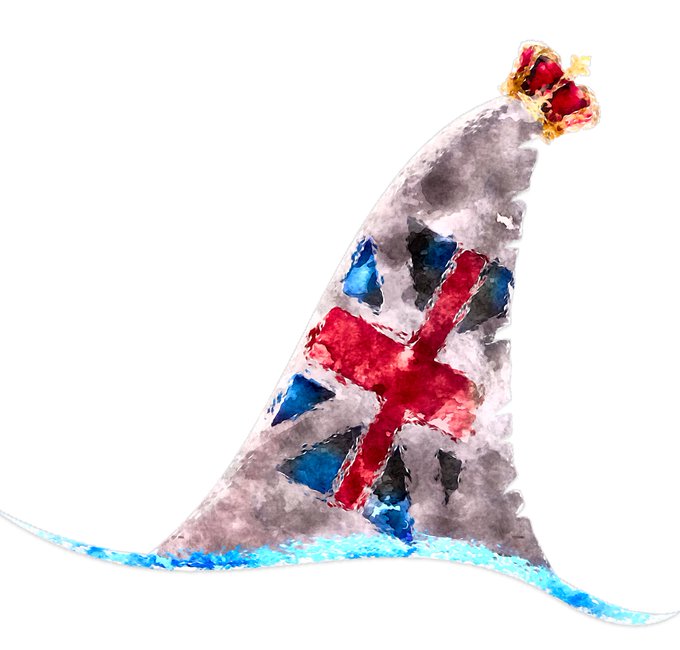 #shark https://t.co/SIMlYDJuWf<a href="/tag/shark"class="tags">#shark</a>