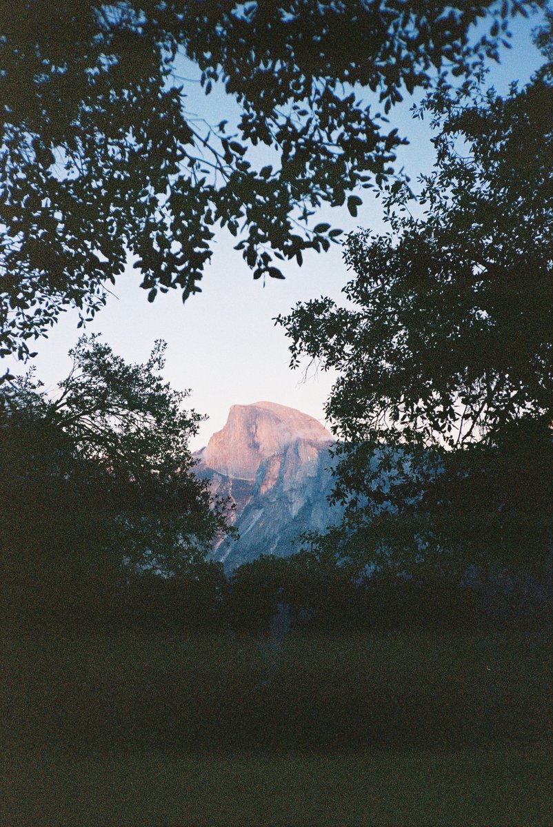 Sam Hofer tweet media