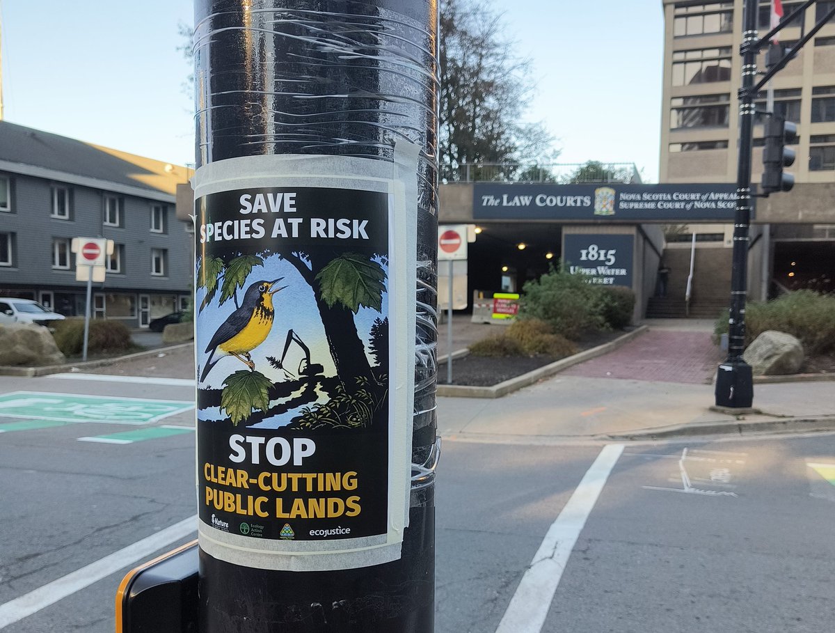 Thank you Young Naturalists Club youth for putting this Canada warbler themed Save SAR sign up in front of the law courts in Halifax. What a perfect spot, considering this bird recently took our government to court, and won. Learn more at: naturens.ca/projects/speci… #nspoli