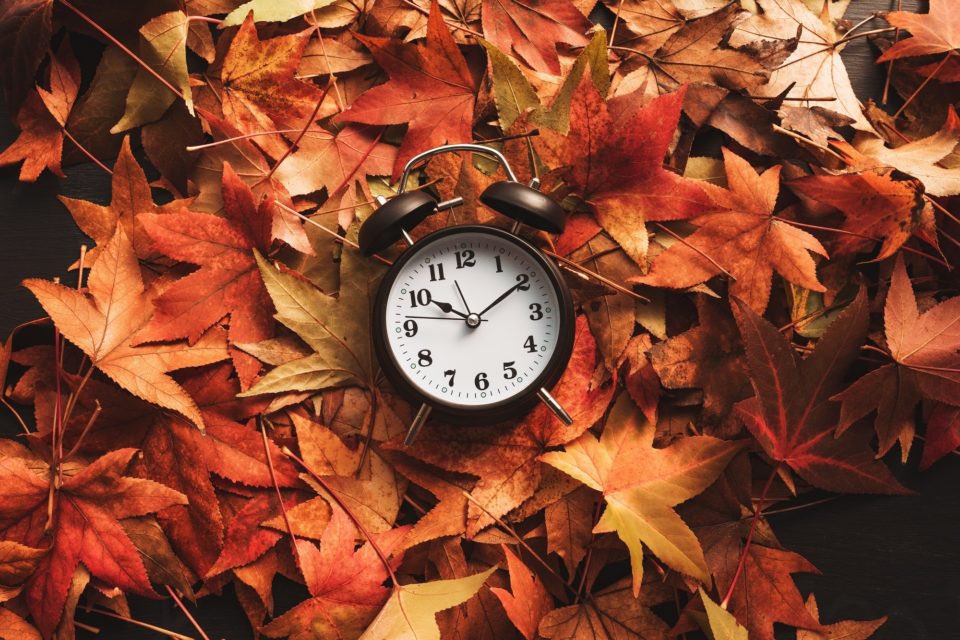 🚨 Heure d'hiver : cette nuit, on recule montres et pendules d’une heure. À 03h00, il sera 02H00 ! ⏰🍂 #ChangementDheure