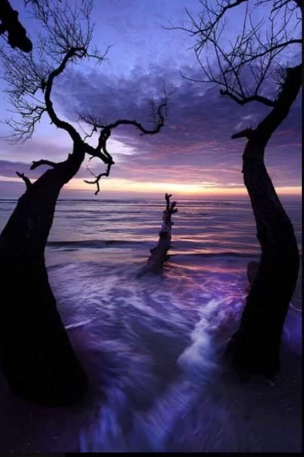 PapyMaison's tweet image. Bon #Soir Le Monde 🌎 !
@1mot1photo #1mot1photo 
Le Super Assistant n'oublie pas le #changementdheure