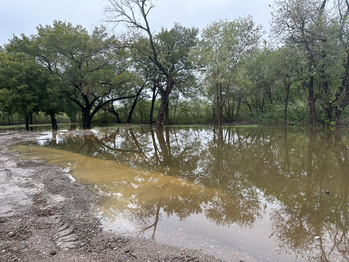 Neighbors United/Vecinos Unidos tweet media