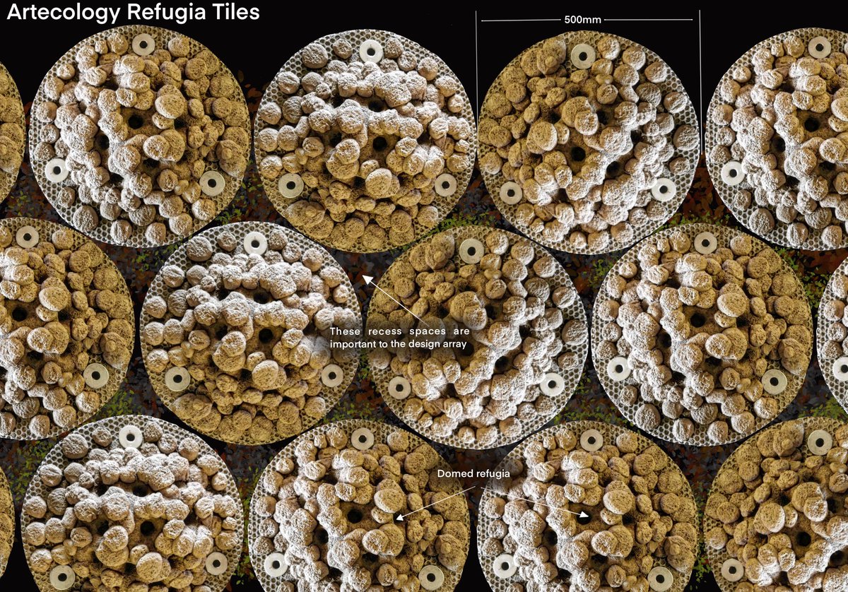 Exciting news: Our Domed Refugia Tiles (photo mock-up) have been selected for a UK port project! Chosen for their unique design and wildlife-friendly features by the civil engineer’s in-house ecologist. 🌊🦀 #CivilEngineering #MarineBiology #Habitat #Innovation #ecoengineering.