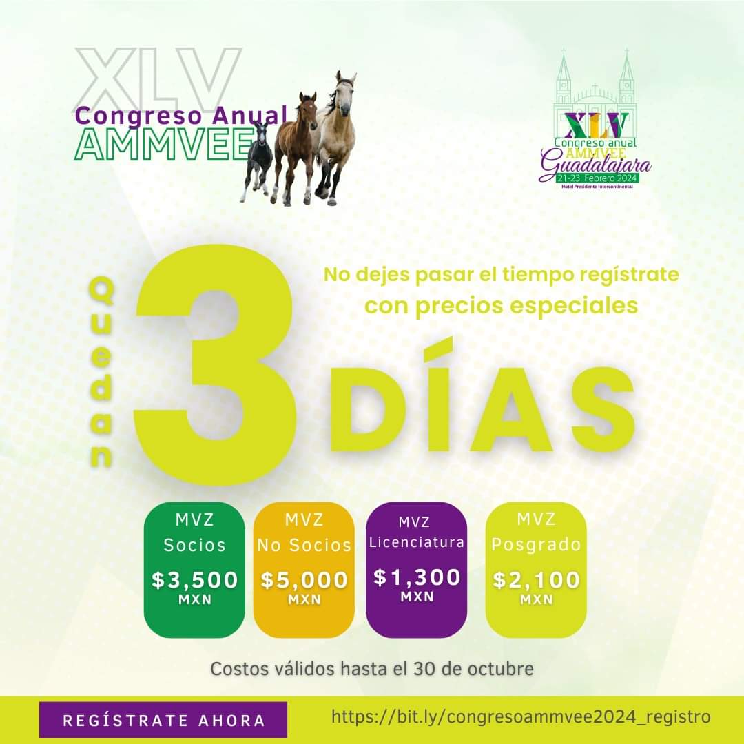 ammvee's tweet photo. 🚀 ¡La cuenta regresiva continúa! 3 días para aprovechar los precios especiales de registro para el XLV Congreso Anual AMMVEE. Únete a los expertos en medicina equina. 

¡Regístrate ya! 🏥🐎 
📲https://t.co/tzmSsazbyb
.
.
#AMMVEE2024 https://t.co/QvmfuF2Vwp