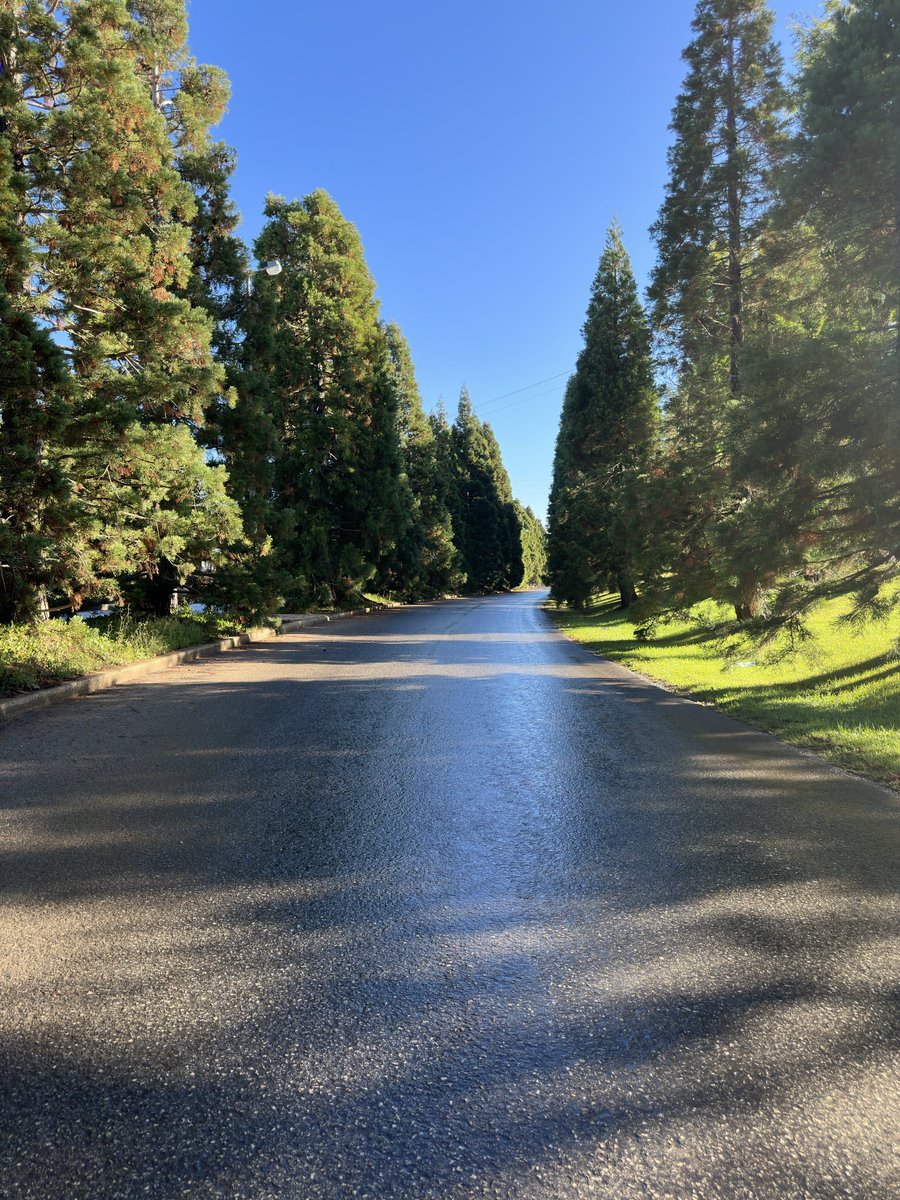 #Good_evening everyone 🍯🫶🏼