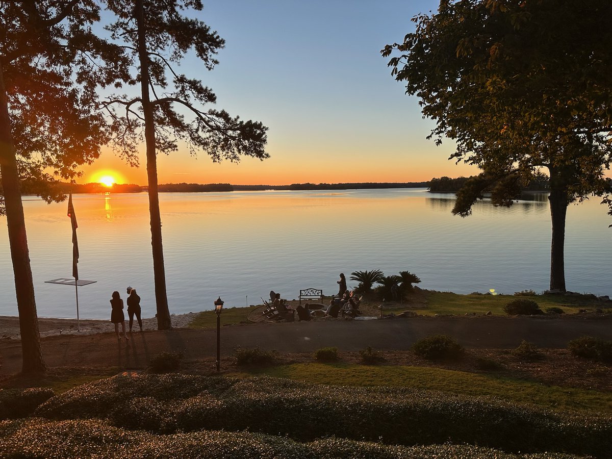 Flock and Rally tweet media