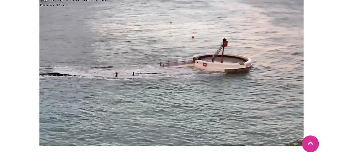 Beetlebeard tweet media