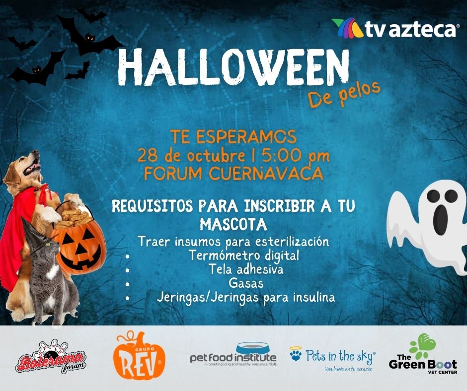 vida_ac's tweet photo. Ya es hoy. https://t.co/QBGQ6XbWuE