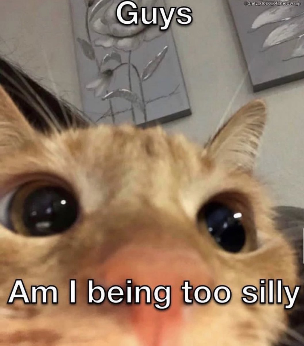 literallymecats's tweet photo. https://t.co/R5YpsZuOwv