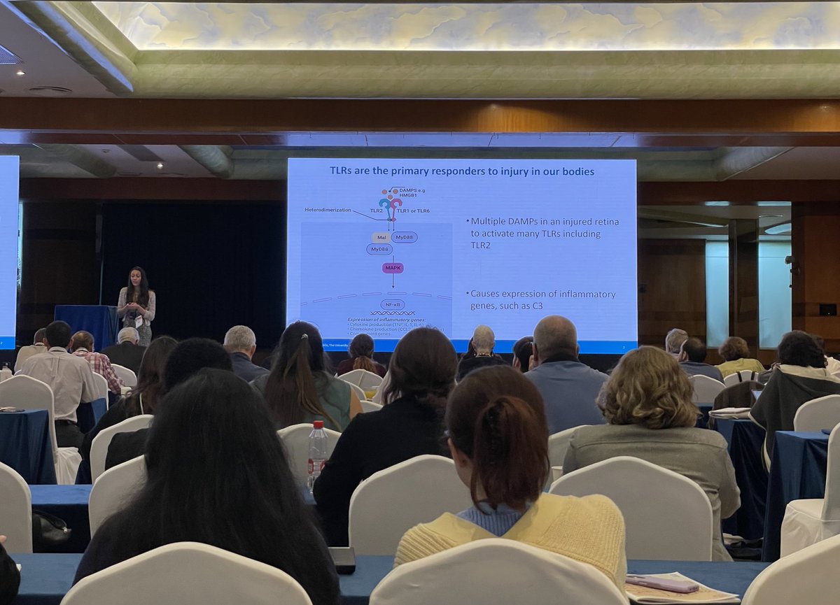 SDoyleTcd's tweet photo. Home after a great week at #RD2023; very proud of my lab’s presentations &amp; special congratulations to Rachel Dalton, #PhD student and @_BrightFocus  travel awardee on her first oral presentation to an international audience 👏👏👏 @MedTcd @tcddublin https://t.co/odlWKRfXUy