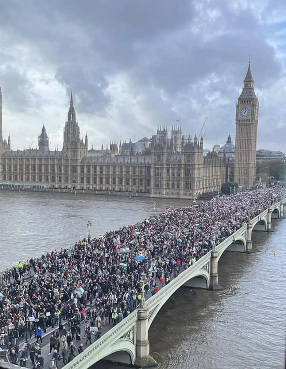 Britain 2023, when demanding a ceasefire apparently makes you an antisemite. #FreeGaza #London