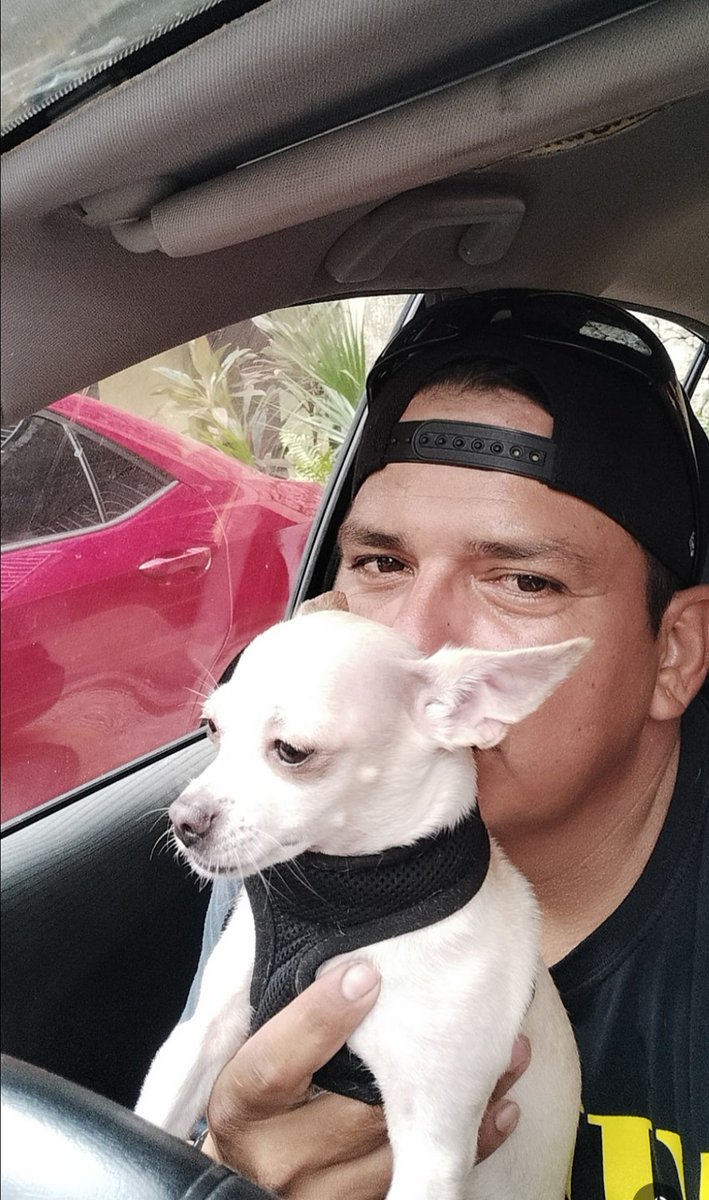 gjoyride1's tweet photo. Con el amor de mi vida 🐕‍🦺🐶🐕 https://t.co/jQlaPkI4GK