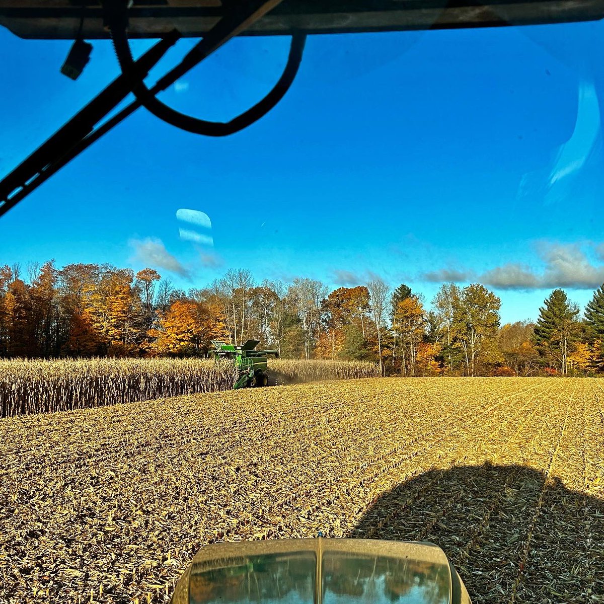 Devin O’Neal tweet media