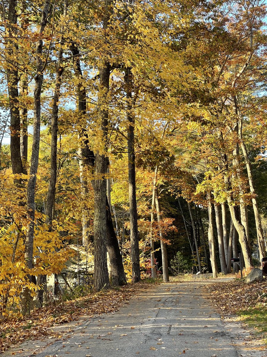 a cathedral of colors