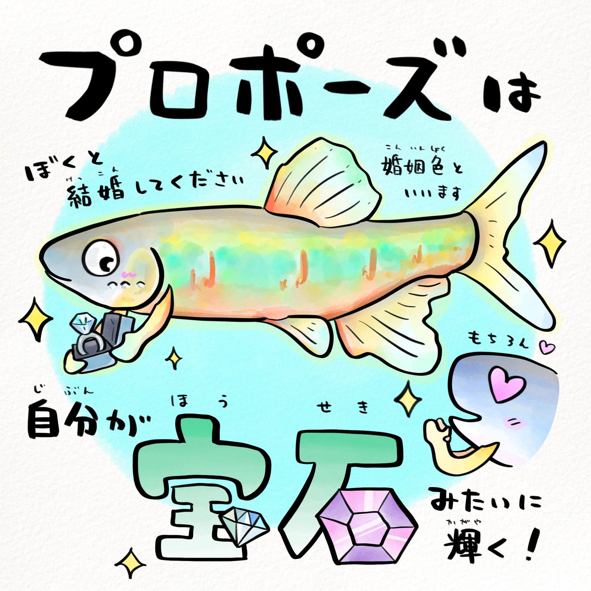 日本の川魚は地味じゃない! 
