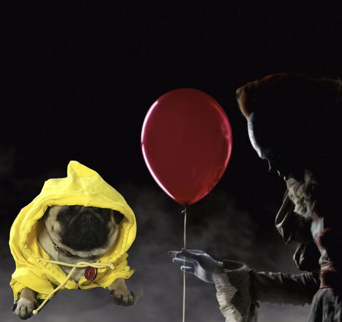 AsucuchaPy's tweet photo. Decidí no tener hijos para que no me pidieran cartulina a las 10 de la noche y me acaban de escribir de la guardería de Peggy a decirme que le tengo que mandar disfrazada 🤷🏼‍♀️🐶 para Halloween 🎃 manden sugerencias! https://t.co/zaVhMWPJbQ