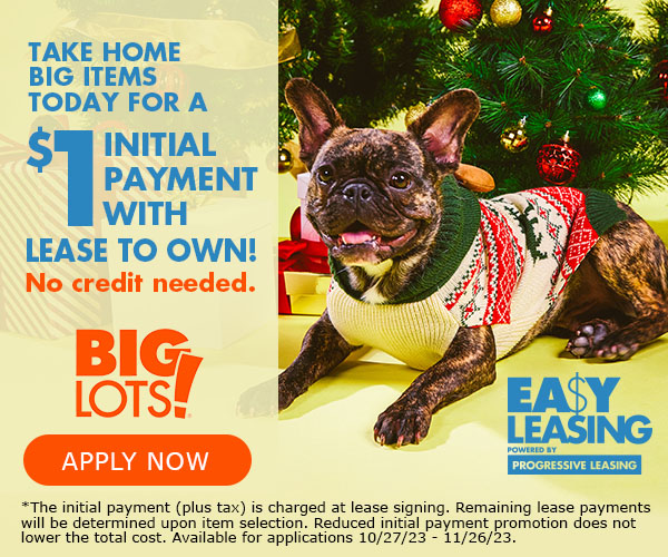 jimbeetle's tweet photo. Hey @BigLots, he's pretty big. Do you really mean I can lease a dog? https://t.co/Hb8s2p0tG3