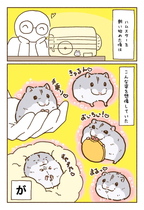 飼ってみたらなんだか想像と違ったハムスターの漫画【1/2】