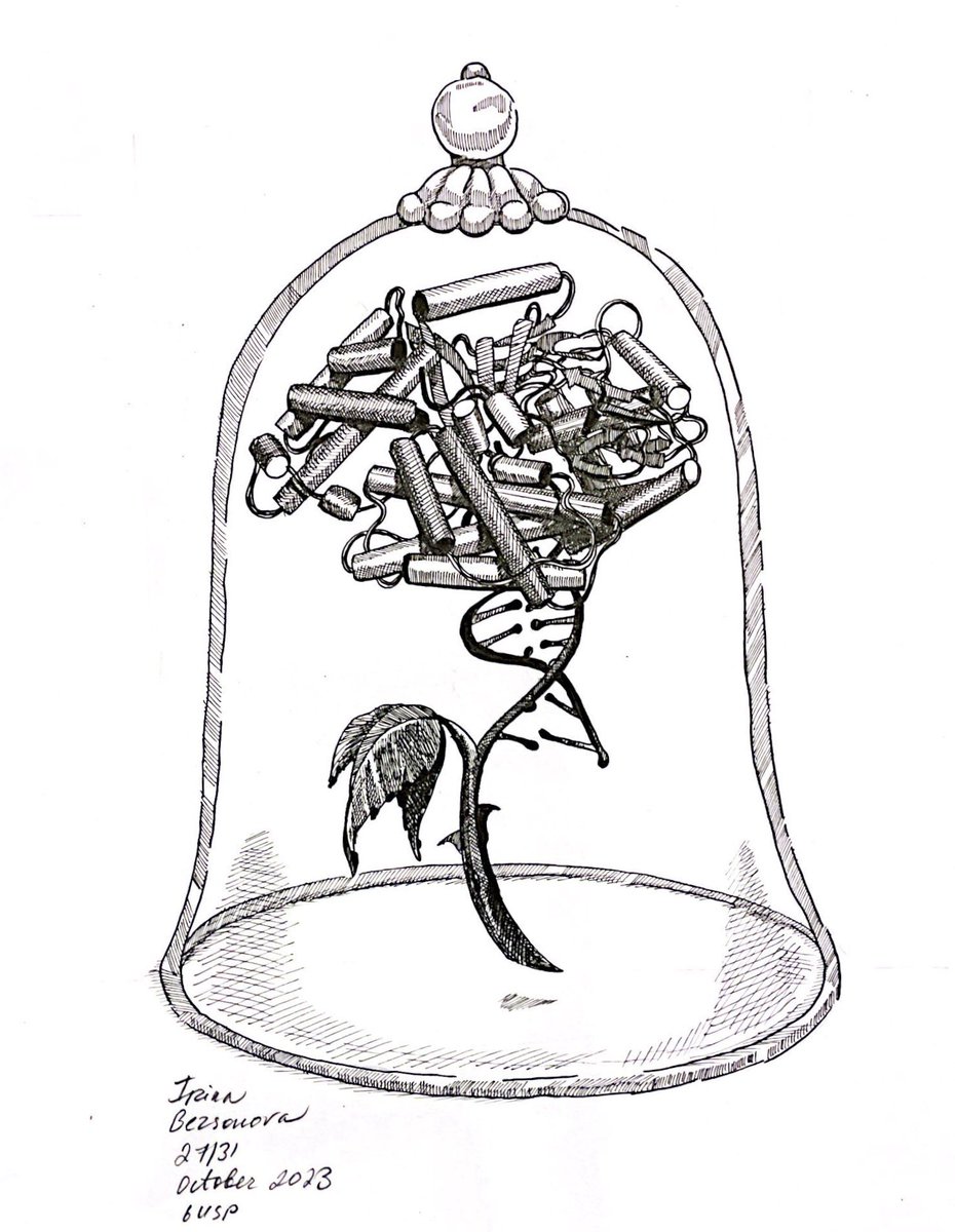This October I’m drawing one molecule a day inspired by proteins in pdb <a href="/PDBeurope/">Protein Data Bank</a> <a href="/buildmodels/">rcsb pdb 💉🧬💻🔬💊🌱🧠🦠</a>

Day 27/31
Prompt BEAST

Telomerase TERT in action.
Telomerase extends telomere sequences at chromosomal ends to protect genomic DNA

pdb 6USP

Next SPARKLE
#sciart #telomere #inktober
