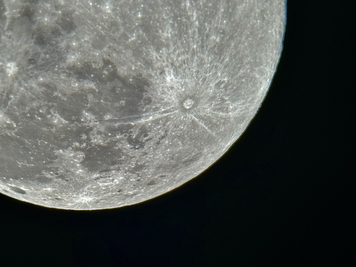 BelizeResortSpa's tweet photo. #fullmoon in the Jungle of Belize! https://t.co/V70EincvDf