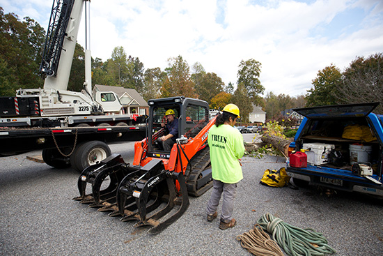 Understanding Why is Tree Removal So Expensive?

72tree.com/understanding-… #treeremoval #emergencytreeremoval #alpharettatreeservice