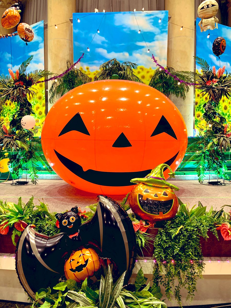 g76UsvoQfBoBnhq's tweet photo. ハロウィンの魔物に遭遇🎃 https://t.co/GcYvgvjHIe