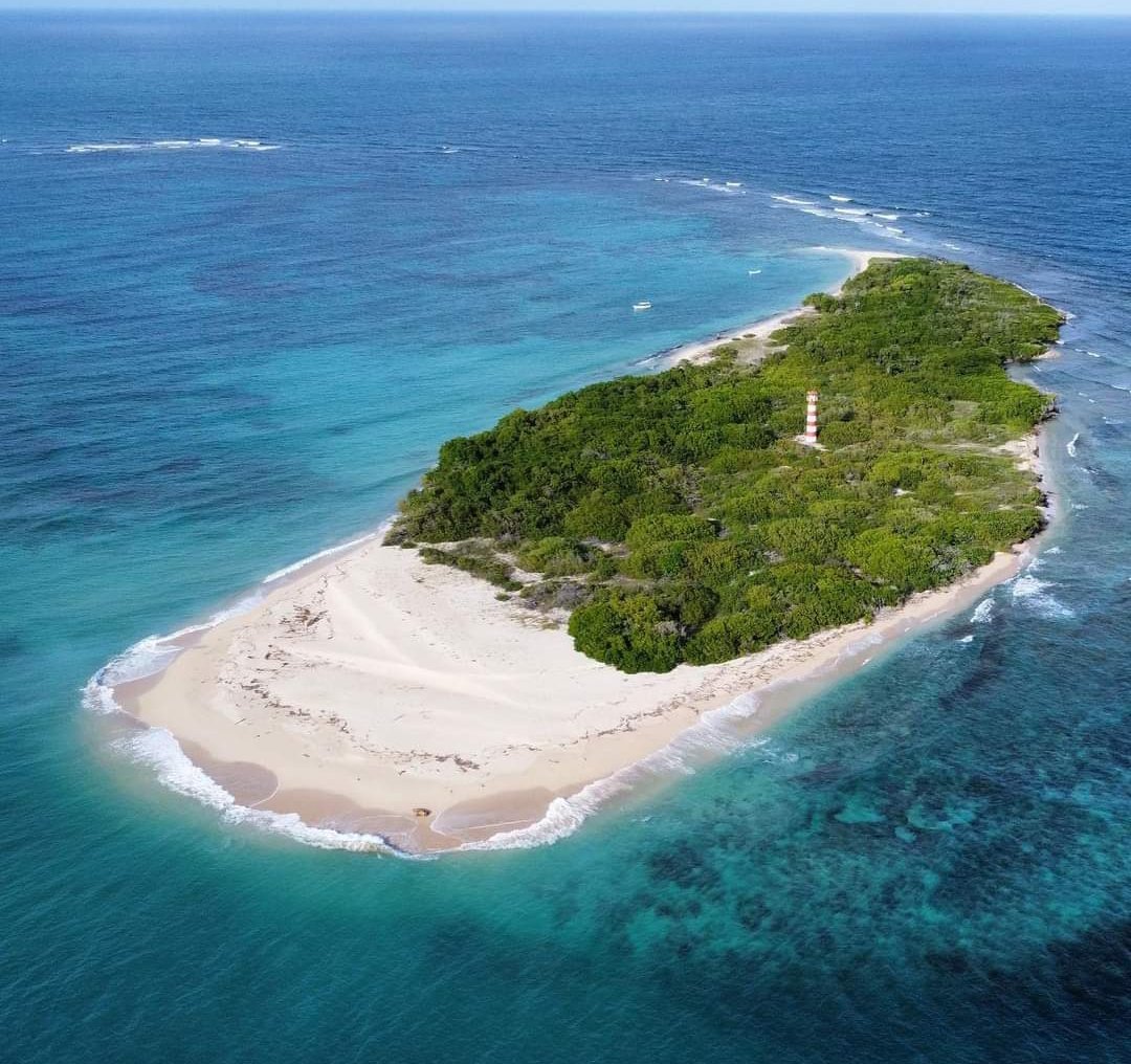 dayyycaro's tweet image. #28octobre
Conociendo el Estado Falcón 🇻🇪

"El Cayo Borracho" es la isla más lejana y más septentrional del Parque Nacional Morrocoy ubicado a 50 minutos de Chichiriviche, Estado Falcón. Posee abundante vegetación, rodeada de corales.
#GHVIP29O #GHVIP280 #RWC2023