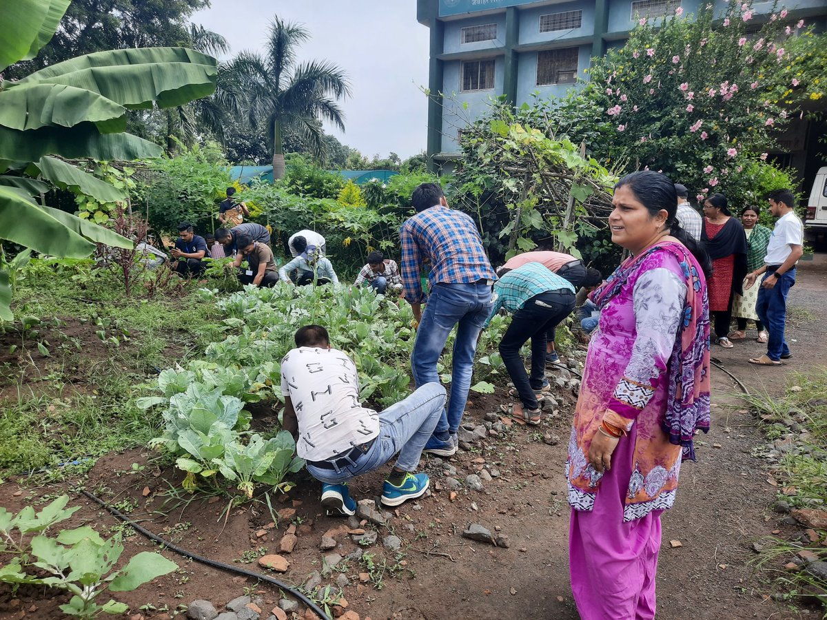 विशेष स्वच्छता अभियान के अंतर्गत कृषि विज्ञान केंद्र में स्थित पोषण वाटिका की साफ सफाई kend किया गया
#SwachhtaHiSeva #SpecialCampaign3 <a href="/dare_goi/">Department of Agricultural Research and Education</a> <a href="/icarindia/">Indian Council of Agricultural Research.</a> #atarijabalpur <a href="/mp_des/">DES JNKVV Jabalpur MP</a> <a href="/DARPG_GoI/">DARPG 🇮🇳</a> <a href="/PMOIndia/">PMO India</a> <a href="/nstomar/">Narendra Singh Tomar</a> #SwachhBharatMission