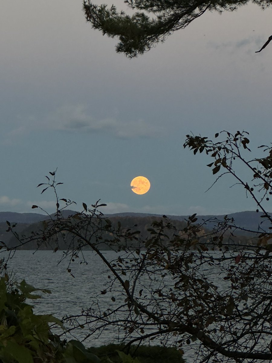AstroUpdate's tweet photo. She rises!! 🙌🌕 Happy #FullMoon, #HunterMoon, and partial #LunarEclipse in #Taurus everyone!! ♉️💜 Keep an 👁️ out for #Jupiter right next to her!! ✨

#fullmoonrising #moonconjunctjupiter #taurusfullmoon #taurusmoon #huntersmoon #nofilterneeded #lakechamplain #greenmountains https://t.co/xYruuQDyrc