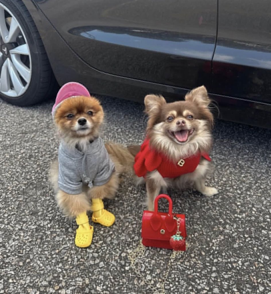 JAILEYSWRLD's tweet image. OMG 😂