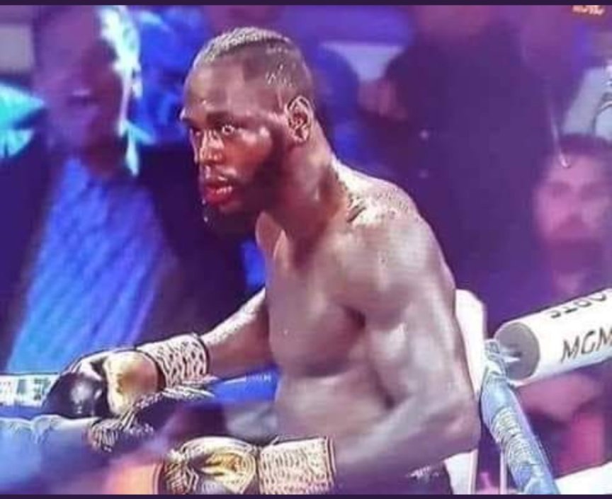 TheUFCStats's tweet photo. Boxers when the MMA guy isn't a Jiu-jitsu specialist https://t.co/WopIjfDWOM