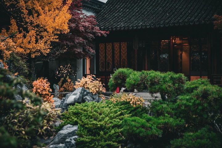 vangarden's tweet photo. Stunning #AutumnPhotography by 📷 @LightsCameraVan. A pleasure to host this lovely group & having such talented hobby photographers capturing the mood & #AutumnVibes @vangarden #chinatownyvr @Gardens_BC #vancityfeature #igersvancouver @604Now #vancity #beautifulbc https://t.co/BQuqohgEkg
