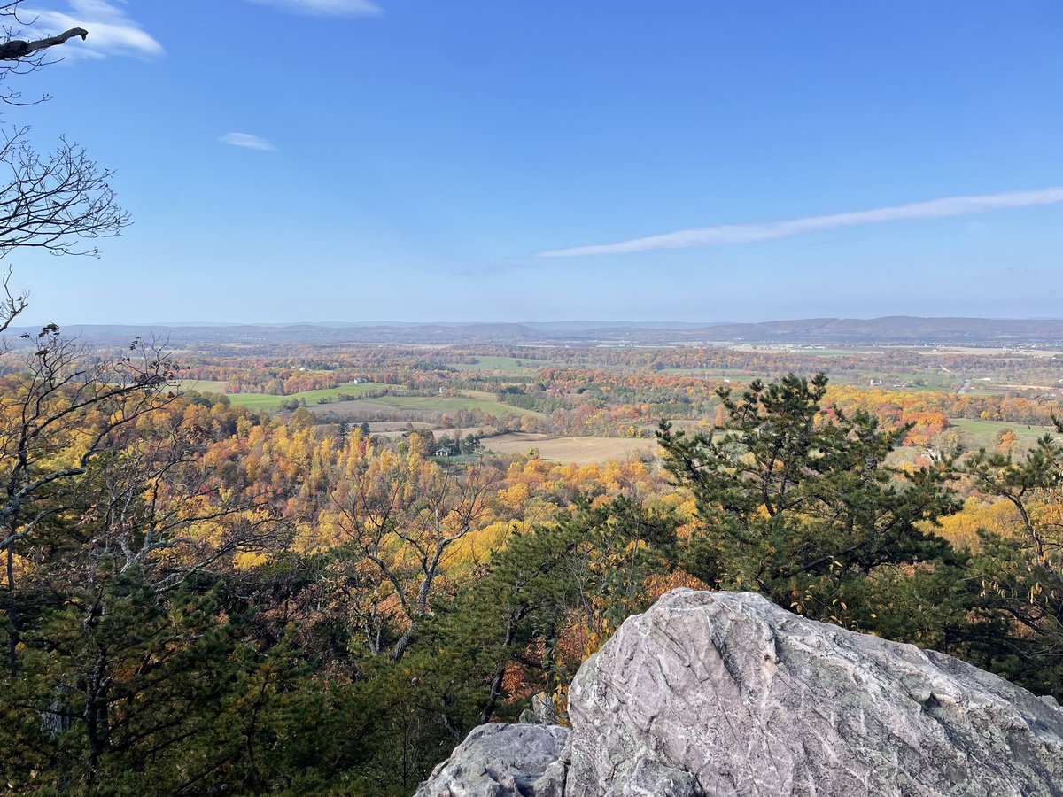 taylorev_'s tweet image. 7-something miles of peak foliage at Sugarloaf Mountain ⛰️🍂