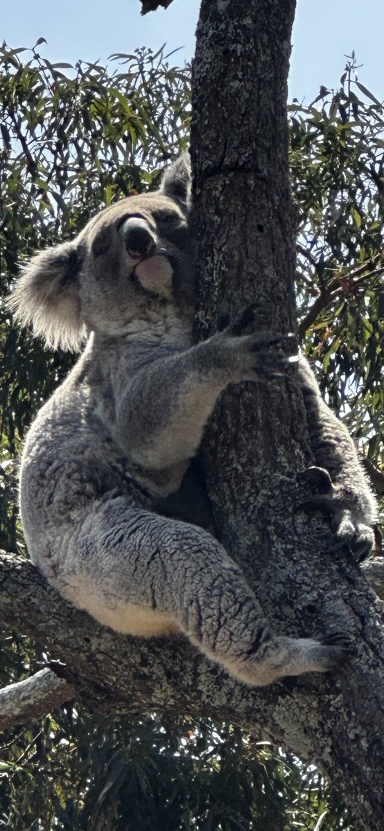 WPEventMan's tweet photo. Time Out Down Under 🥰 https://t.co/Ifs4eSipni