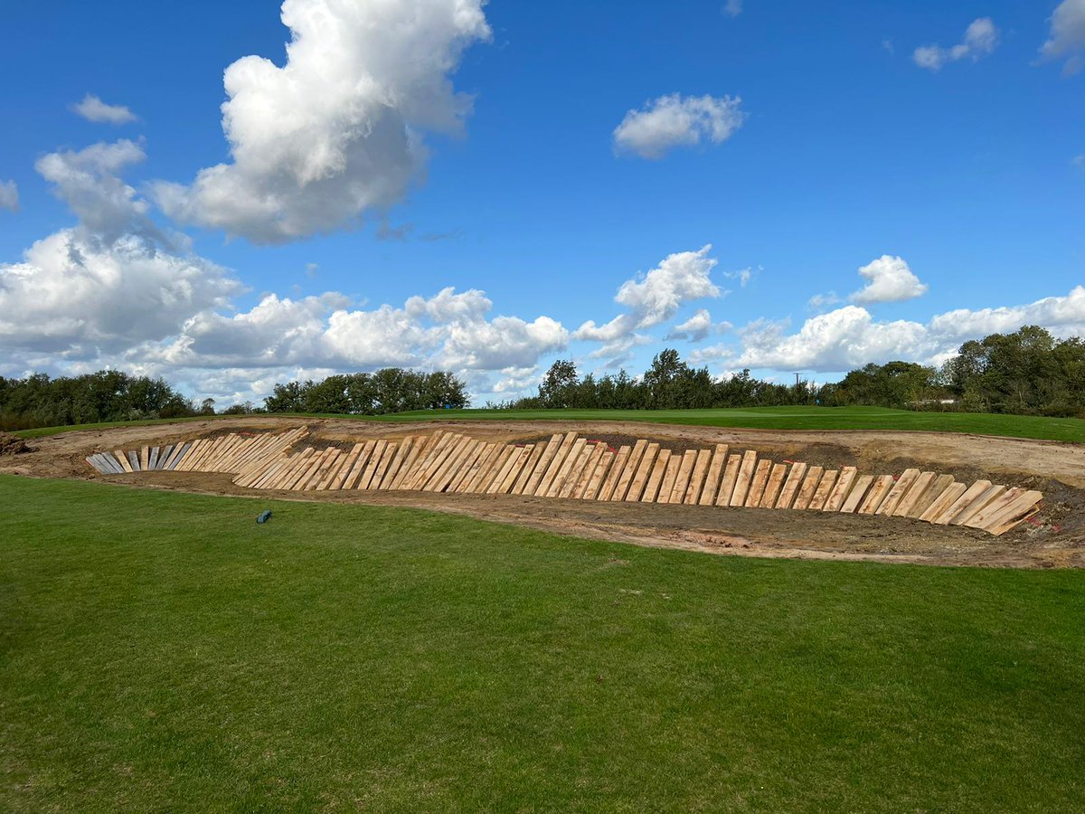 Swan Golf Designs tweet media