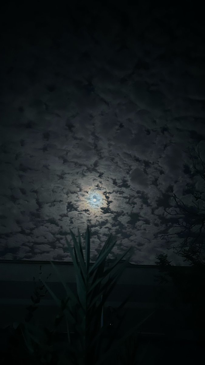 fa6_04 tweet picture