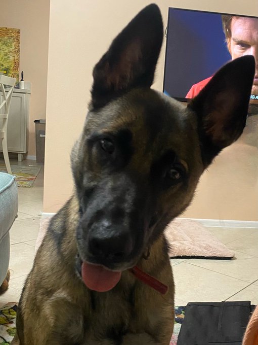 The view of the television from my couch https://t.co/IPycst0VbJ<a href="/tag/jordancon"class="tags"><span>#jordancon</span></a><a href="/tag/jordancon2024"class="tags"><span>#jordancon2024</span></a>