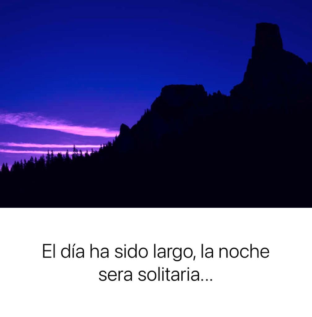 Hugo Leon tweet media