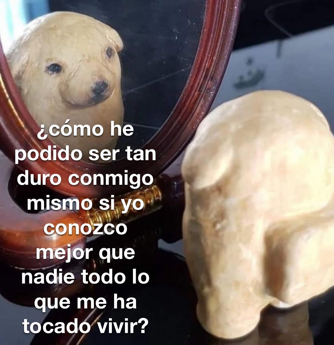 ¿cómo? 🪞