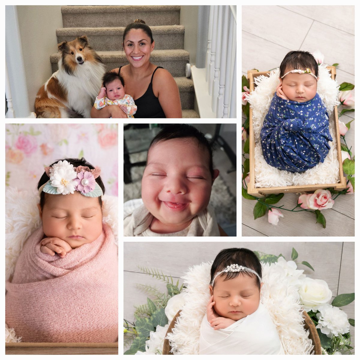 M.Ocampo tweet media