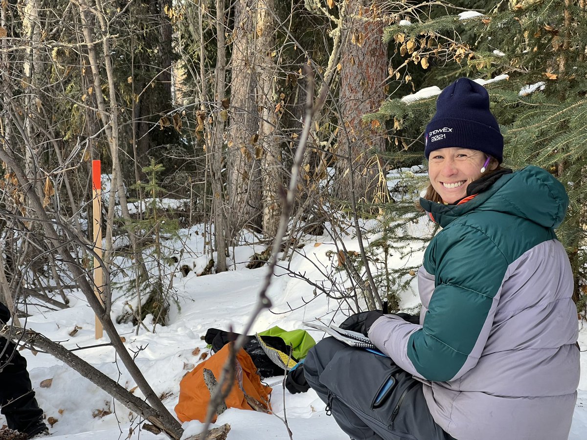 Sveta Stuefer tweet media