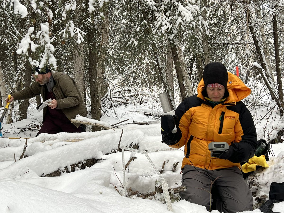 Sveta Stuefer tweet media