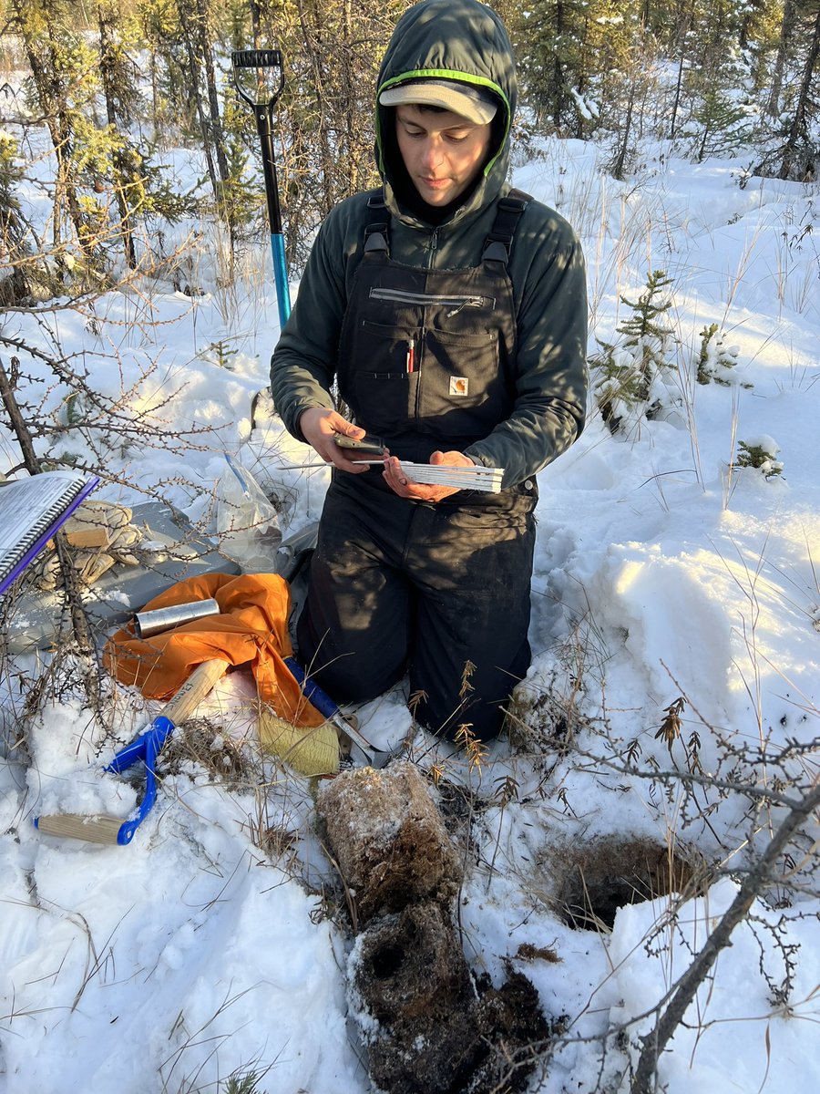 Sveta Stuefer tweet media