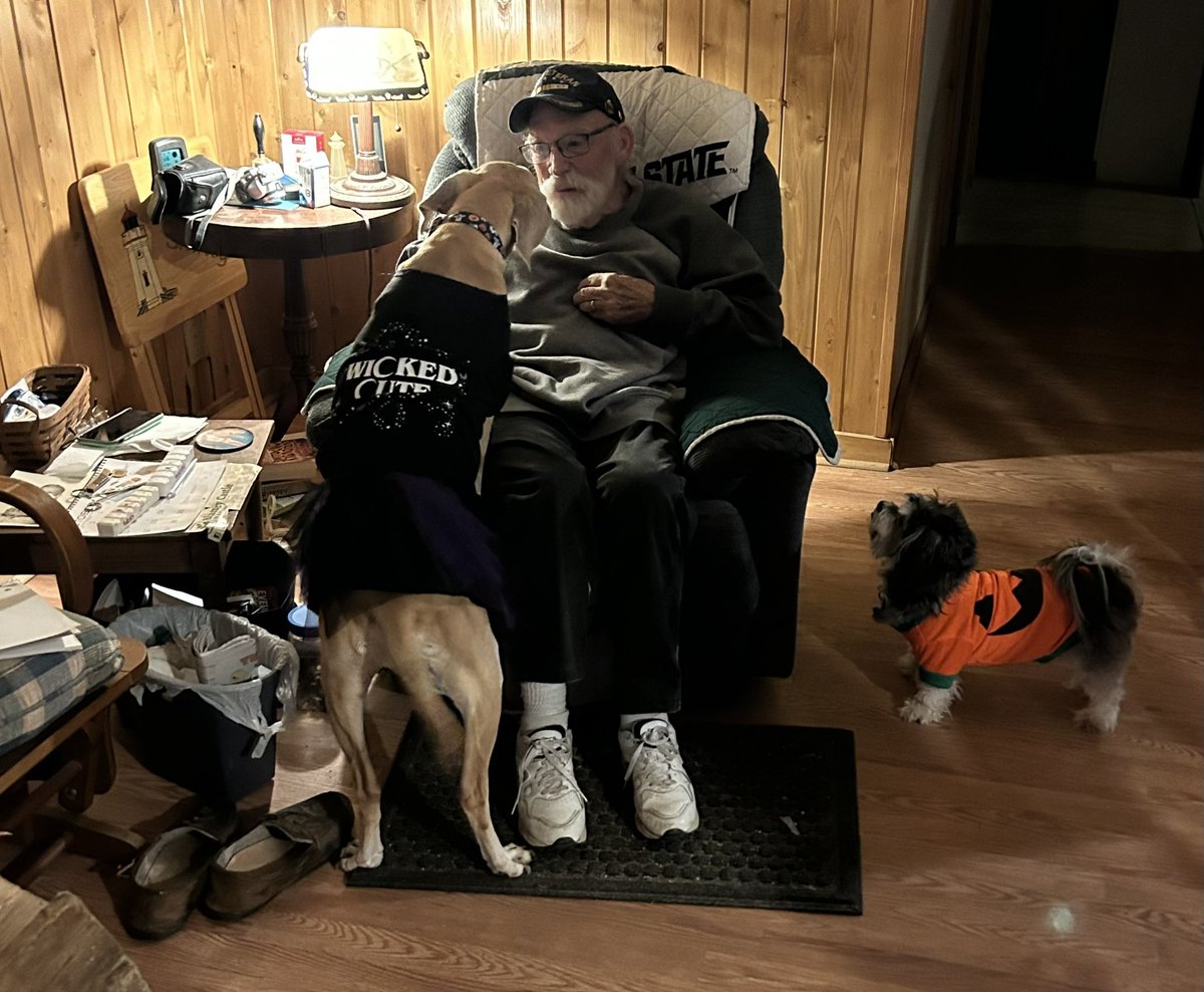 Belle is just wicked cute trick or treating at the grandparents tonight. Getting all the treats from Grandpa!