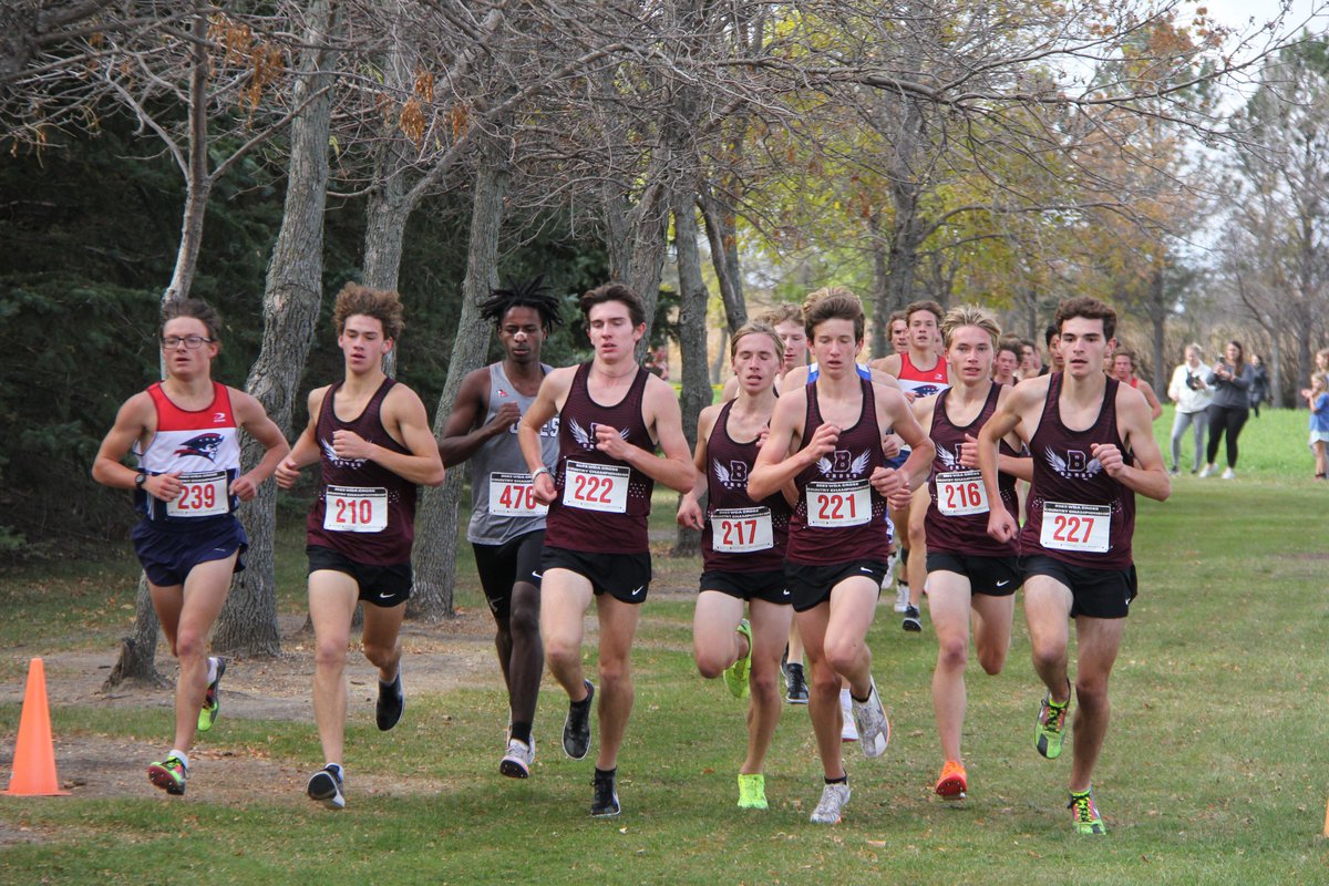 WDA Sports tweet media