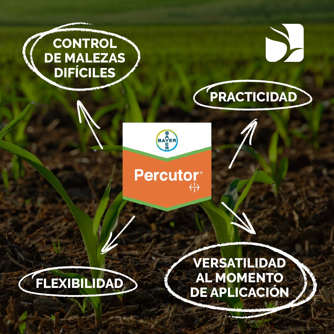 monchoehijos's tweet photo. #PERCUTOR 👊🏻
El #Herbicida revolucionario de @AgroBayerAR para #Soja 🌱y #Maíz 🌽, que controla hasta 29 tipos de #Malezas ⛔
Tu lote limpio por más tiempo ✅🕐
Mayor flexibilidad, amplio control y excelente residualidad 🙌🏻 https://t.co/U3n7cs7IGC